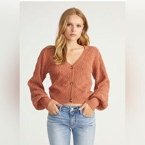 Driftwood Nancy knit cardigan in brick. Large. NWT